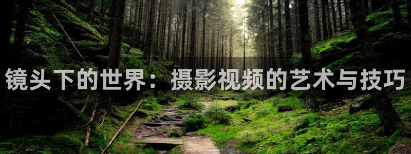 天龙影院远古影像在线看