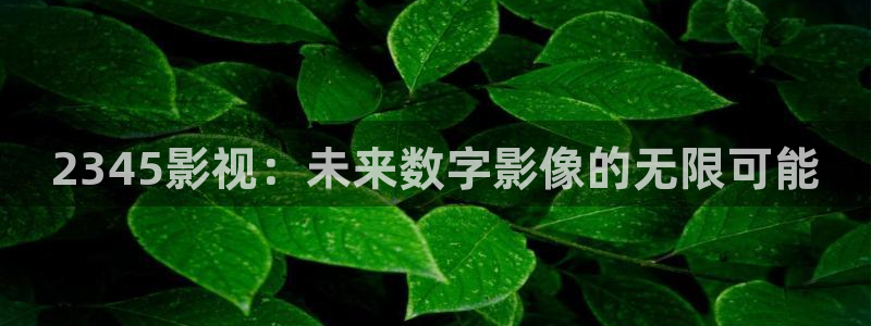 天龙高清影视：2345影视：未来数字影像的无限可能