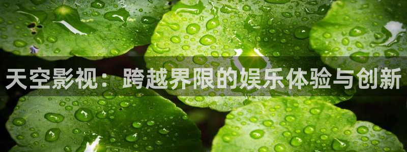 天龙影院在线免费观看电影完整版：天空影视：跨越界限的娱乐体验与创新