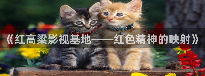 天龙高清影院官网：《红高粱影视基地——红色精神的映射》
