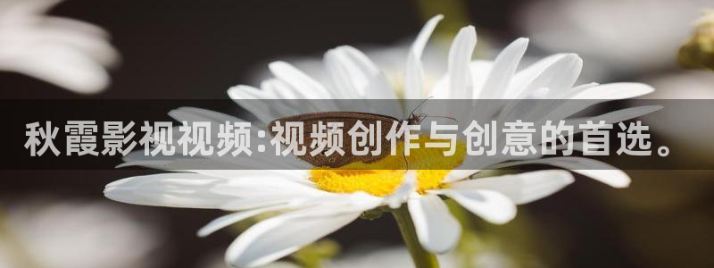 天龙旗舰：秋霞影视视频:视频创作与创意的首选。