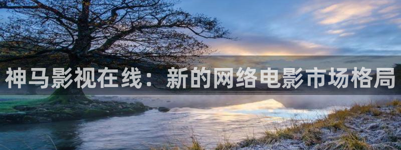 天龙影院免费电影：神马影视在线：新的网络电影市场格局