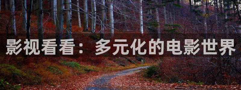 天龙影院2024年最新款：影视看看：多元化的电影世界