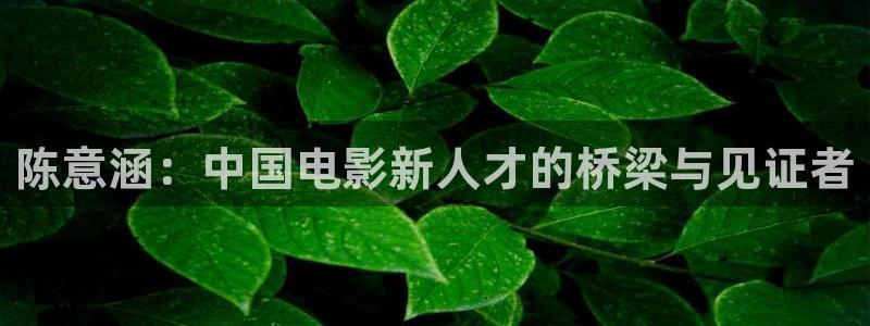 天龙影院远古网页：陈意涵：中国电影新人才的桥梁与见证者