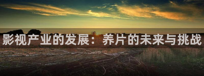 天龙远古影院首页：影视产业的发展：养片的未来与挑战