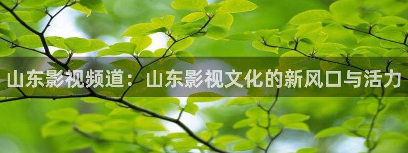 天龙高清影院官网：山东影视频道：山东影视文化的新风口与活力
