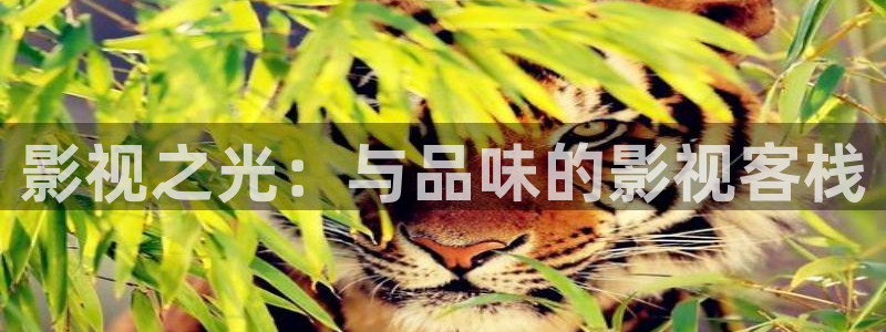 天龙影院高清远古